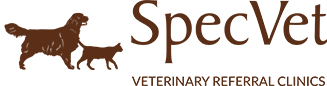Veterinary Referral Clinic SpecVet