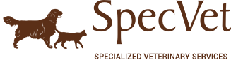 Veterinary Clinic SpecVet